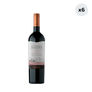 6x Vino Castillo De Molina Cabernet Sauvignon 750cc
