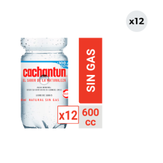 12x Agua Mineral Cachantun Sin Gas 600cc
